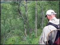 Bifogad bild: norge2010augusti759.jpg